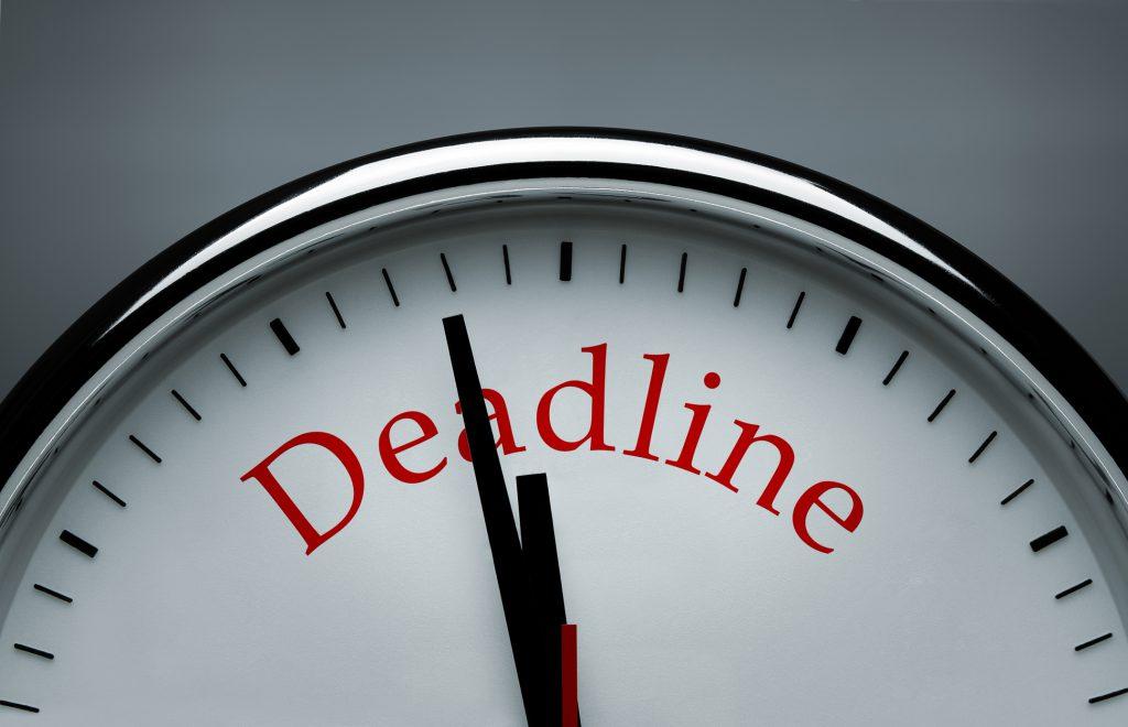 Procrastinator’s Paradise: Navigating the Aisles Like a Holiday ninja