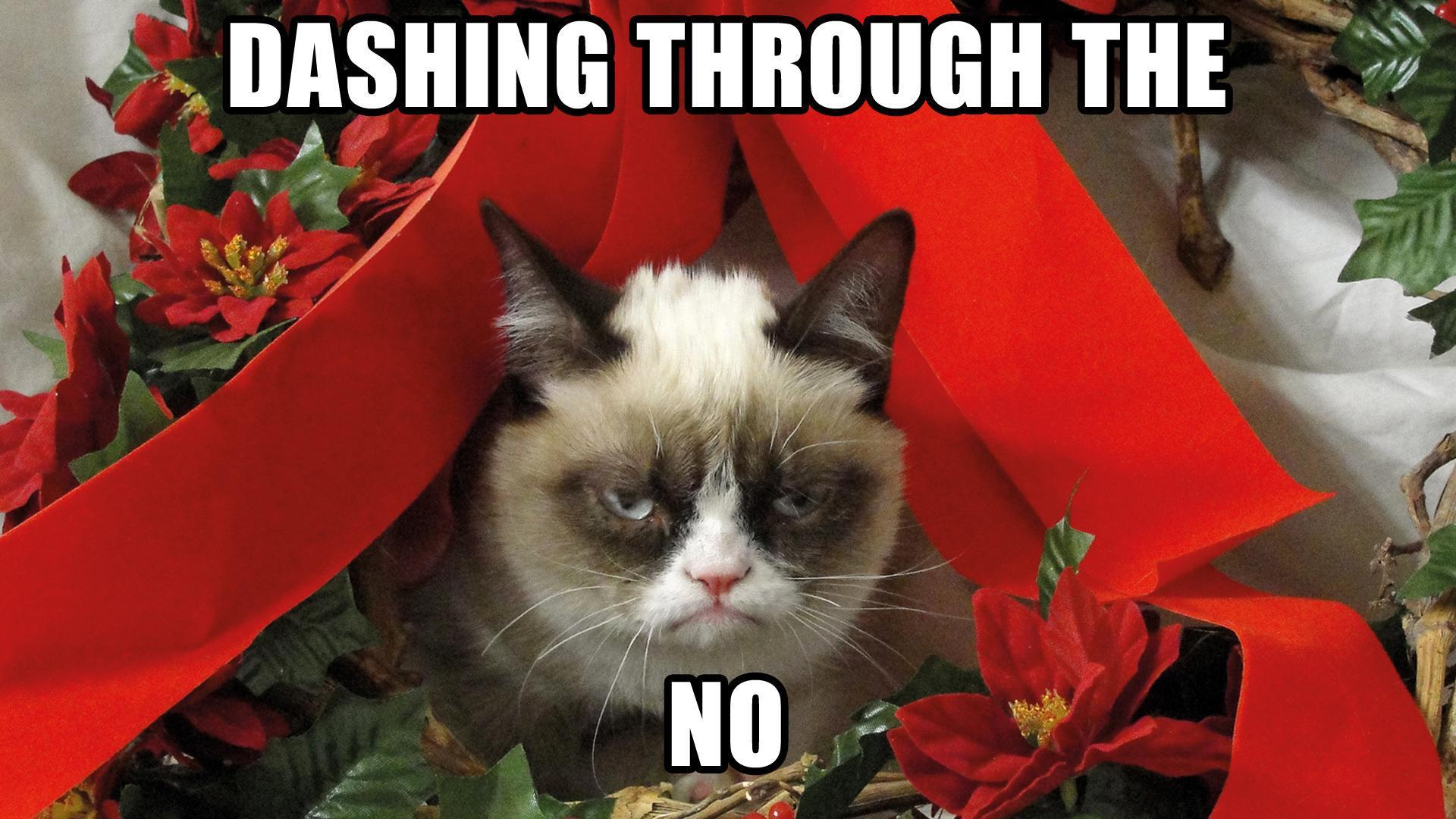 Jingle Laughs: The Best Christmas Memes to Spread Cheer