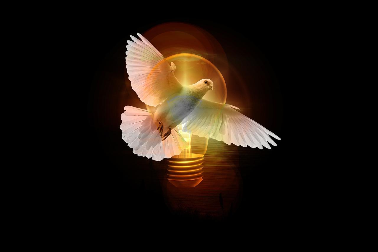 Passing the Holy Spirit Test:​ No Pressure,Just ‌Grace!