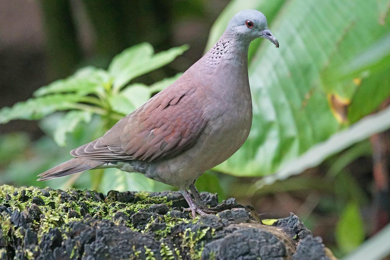 Turtledoves​ and Twinkling Lights: A Match Made in Holiday heaven