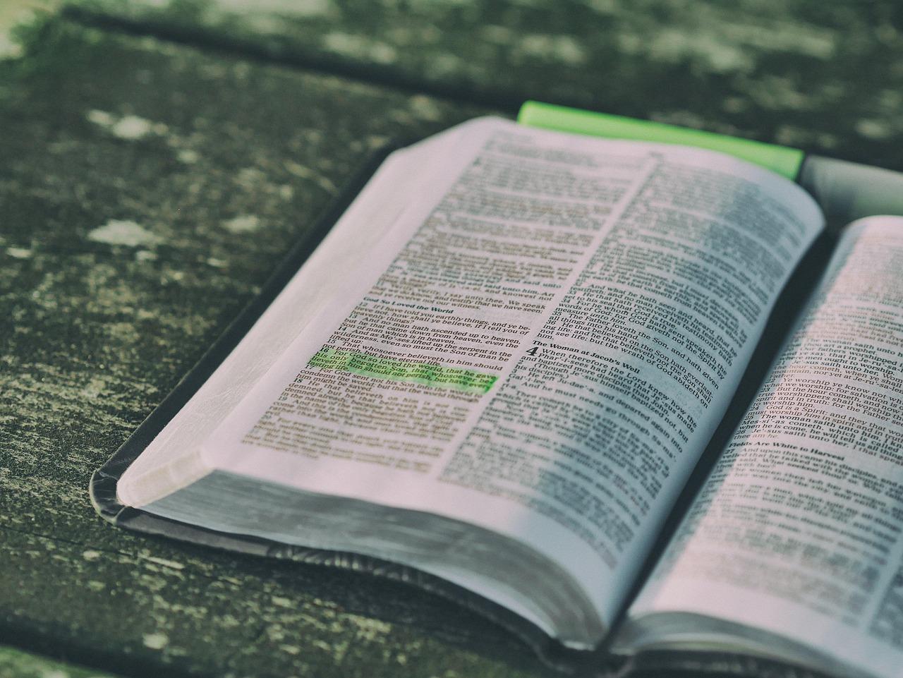 Counting Holy Pages: How Many Books Fit in Our Bible?