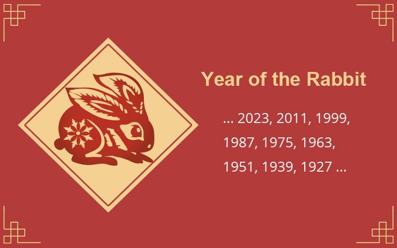 Year of the Rabbit: Hopping with Hilarious Chinese New Year Wishes!