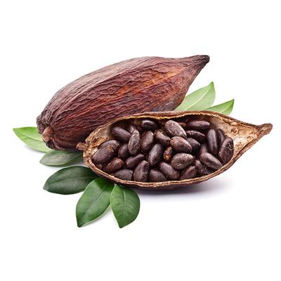 Sipping Cocoa and Sharing Memories: ​Toasts for Your Missing Mates