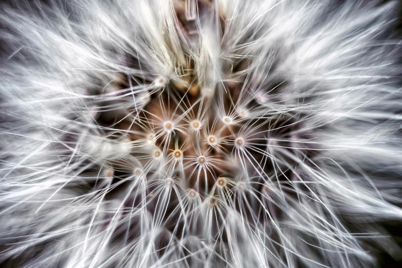 Creative Commons:⁢ free Resources That ⁤Save Your Sanity