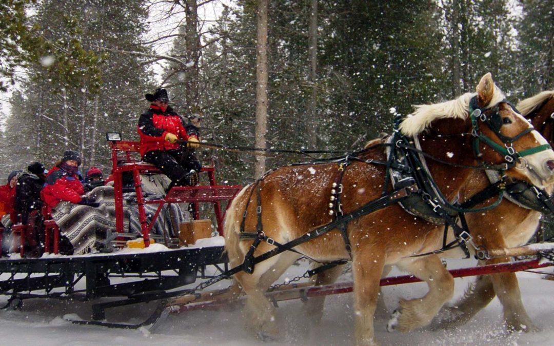 Sleighing It with Spirit: Crafting the Perfect Emoji playlist