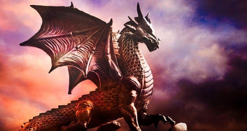Dodging Dragons and Dishes: The Quirky World of Chinese New Year 12s!