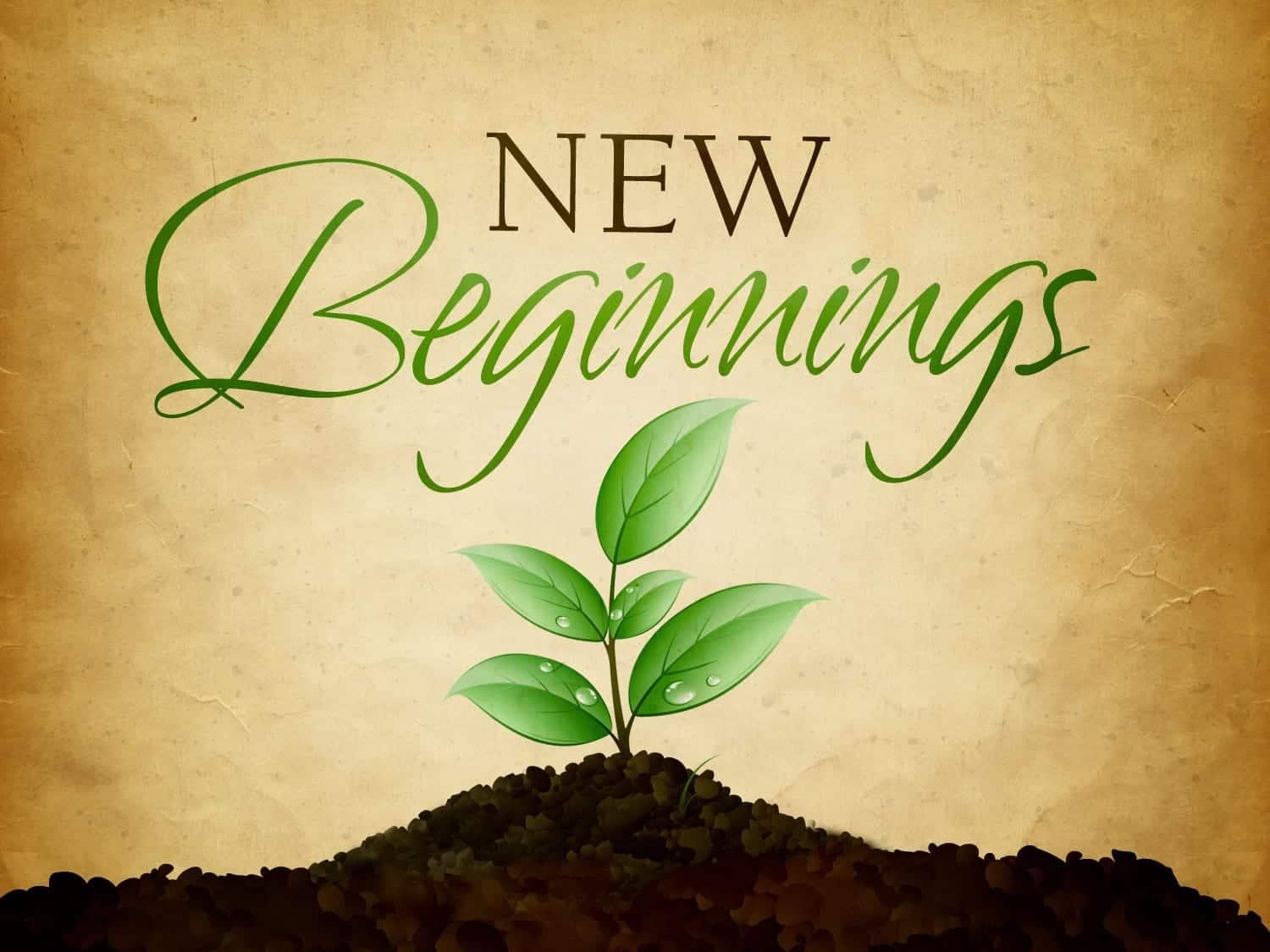 Cheers to New Beginnings: Hilarious Christian Wishes for 2024!