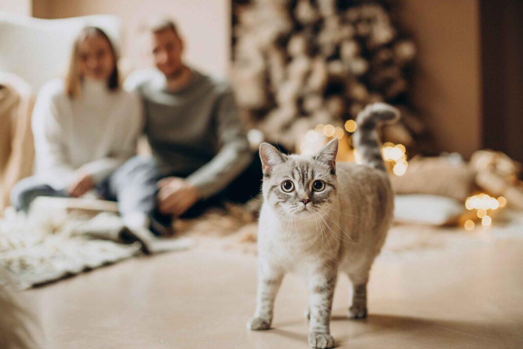 furry festivities: Tips⁢ for a Pet-Friendly Celebration