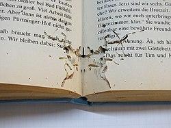 Bookworms ⁢Beware: Page-Turning Reads that Make Spirits Bright
